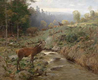 Red Deer Herd in a Forest Clearing by Christian Kröner